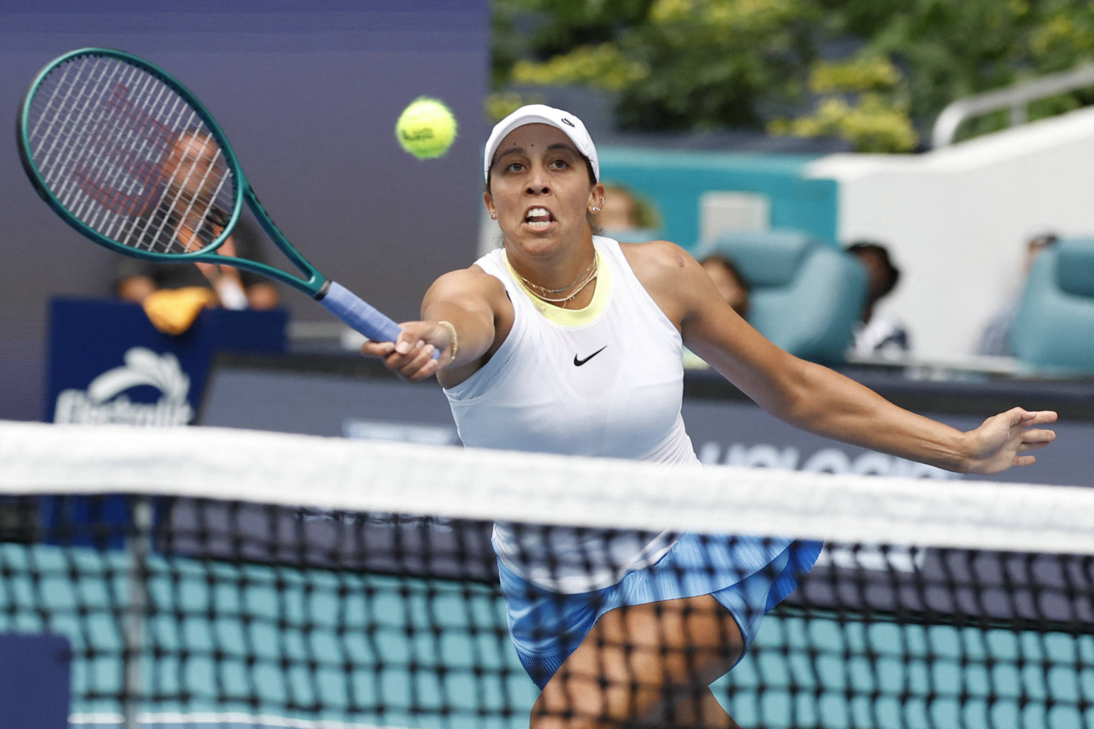 皇家社会的 皇家社会的